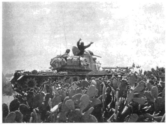 Иллюстрация к книге — Арабо-израильские войны. 1956, 1967 [_18.jpg]