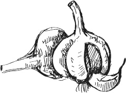 Иллюстрация к книге — 365 салатов и закусок на каждый день [i_023.jpg]