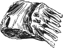 Иллюстрация к книге — 365 салатов и закусок на каждый день [i_025.jpg]