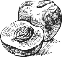 Иллюстрация к книге — 365 салатов и закусок на каждый день [i_026.jpg]