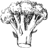 Иллюстрация к книге — 365 салатов и закусок на каждый день [i_043.jpg]