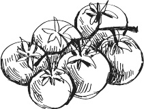 Иллюстрация к книге — 365 салатов и закусок на каждый день [i_060.jpg]