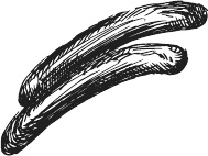 Иллюстрация к книге — 365 салатов и закусок на каждый день [i_070.jpg]