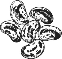 Иллюстрация к книге — 365 салатов и закусок на каждый день [i_079.jpg]