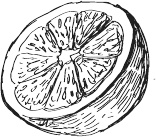 Иллюстрация к книге — 365 салатов и закусок на каждый день [i_105.jpg]