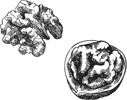 Иллюстрация к книге — 365 салатов и закусок на каждый день [i_106.jpg]