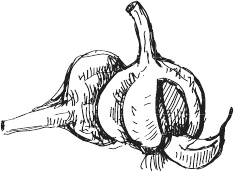 Иллюстрация к книге — 365 салатов и закусок на каждый день [i_123.jpg]