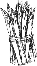 Иллюстрация к книге — 365 салатов и закусок на каждый день [i_127.jpg]