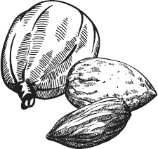 Иллюстрация к книге — 365 салатов и закусок на каждый день [i_131.jpg]