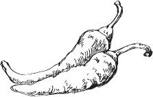 Иллюстрация к книге — 365 салатов и закусок на каждый день [i_136.jpg]