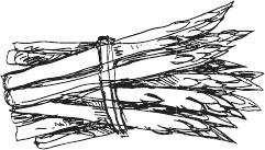 Иллюстрация к книге — 365 салатов и закусок на каждый день [i_147.jpg]