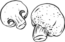 Иллюстрация к книге — 365 салатов и закусок на каждый день [i_149.jpg]