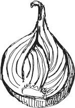 Иллюстрация к книге — 365 салатов и закусок на каждый день [i_157.jpg]