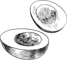 Иллюстрация к книге — 365 салатов и закусок на каждый день [i_165.jpg]