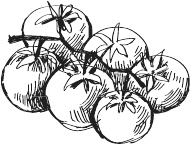 Иллюстрация к книге — 365 салатов и закусок на каждый день [i_197.jpg]