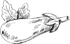 Иллюстрация к книге — 365 салатов и закусок на каждый день [i_205.jpg]