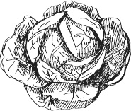 Иллюстрация к книге — 365 салатов и закусок на каждый день [i_221.jpg]