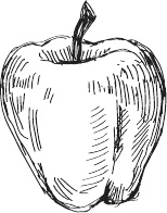 Иллюстрация к книге — 365 салатов и закусок на каждый день [i_231.jpg]