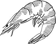 Иллюстрация к книге — 365 салатов и закусок на каждый день [i_234.jpg]