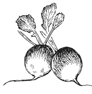 Иллюстрация к книге — 365 салатов и закусок на каждый день [i_242.jpg]