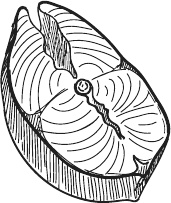 Иллюстрация к книге — 365 салатов и закусок на каждый день [i_262.jpg]