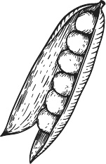 Иллюстрация к книге — 365 салатов и закусок на каждый день [i_263.jpg]