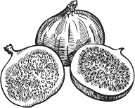 Иллюстрация к книге — 365 салатов и закусок на каждый день [i_271.jpg]