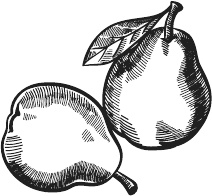 Иллюстрация к книге — 365 салатов и закусок на каждый день [i_272.jpg]