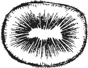 Иллюстрация к книге — 365 салатов и закусок на каждый день [i_281.jpg]