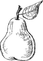 Иллюстрация к книге — 365 салатов и закусок на каждый день [i_285.jpg]