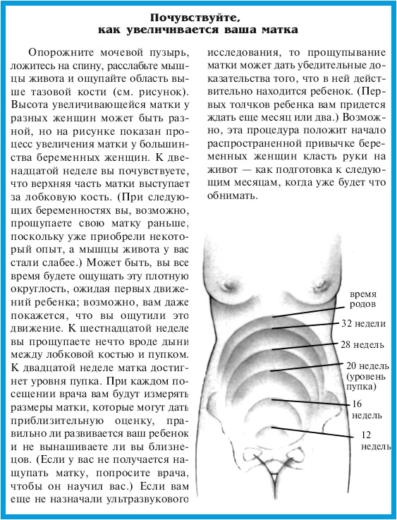 Иллюстрация к книге — В ожидании малыша (обновленное издание) [i_047.jpg]