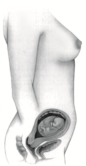 Иллюстрация к книге — В ожидании малыша (обновленное издание) [i_048.jpg]