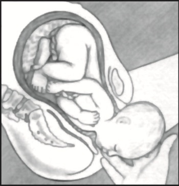 Иллюстрация к книге — В ожидании малыша (обновленное издание) [i_153.jpg]