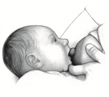 Иллюстрация к книге — В ожидании малыша (обновленное издание) [i_155.jpg]