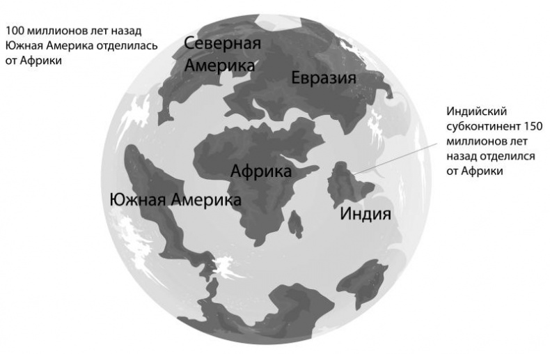 Иллюстрация к книге — Тайны Апокалипсиса [i_022.jpg]