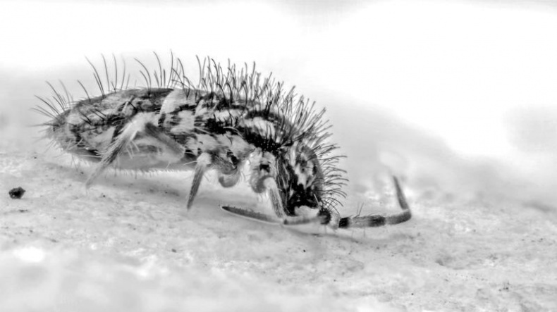 Иллюстрация к книге — Тайны Апокалипсиса [i_044.jpg]