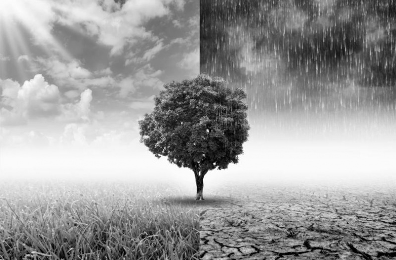 Иллюстрация к книге — Тайны Апокалипсиса [i_057.jpg]