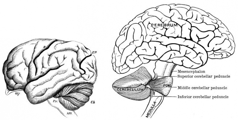 Иллюстрация к книге — Тайны Апокалипсиса [i_063.jpg]