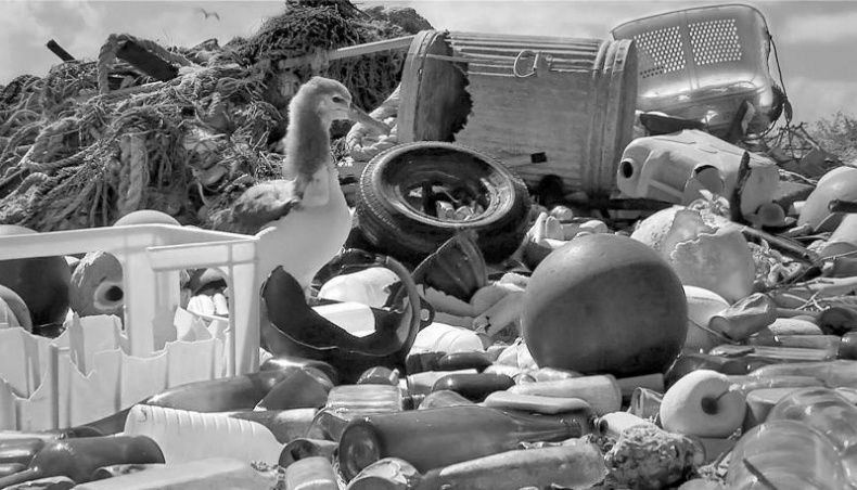 Иллюстрация к книге — Тайны Апокалипсиса [i_065.jpg]