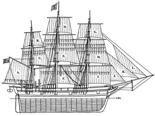 Иллюстрация к книге — В сердце моря. Трагедия китобойного судна &quot;Эссекс&quot; [i_001.jpg]