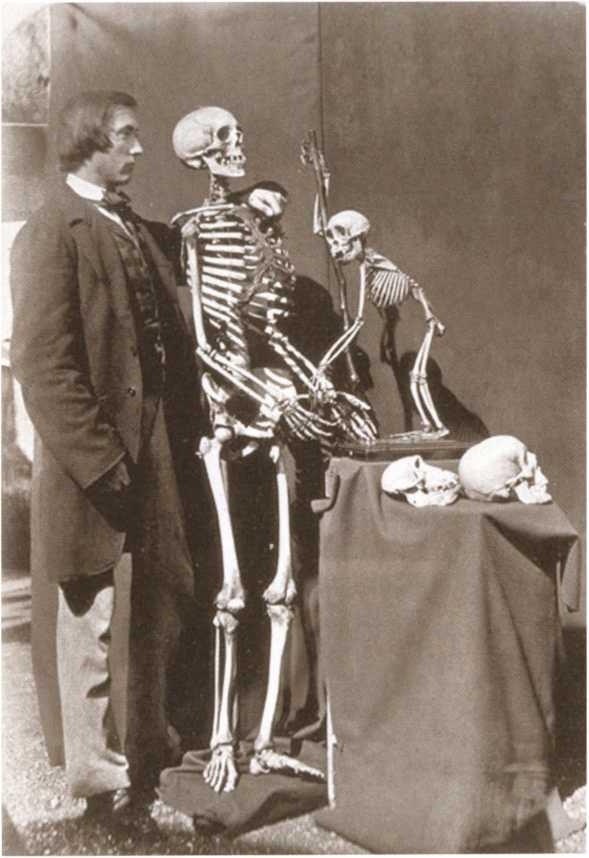 Иллюстрация к книге — Льюис Кэрролл [i_031.jpg]