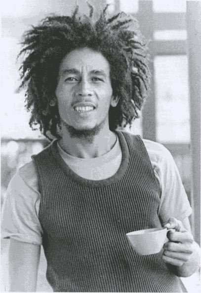 Иллюстрация к книге — No Woman No Cry. Моя жизнь с Бобом Марли [i_004.jpg]