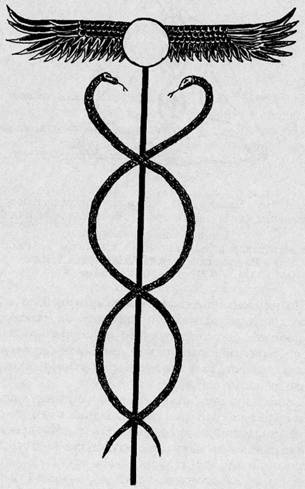 Иллюстрация к книге — Феномен Фулканелли. Тайна алхимика XX века [i_023.jpg]