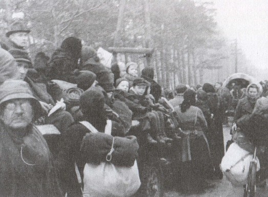 Иллюстрация к книге — Правда о &quot;Вильгельме Густлофе&quot; [i_032.jpg]