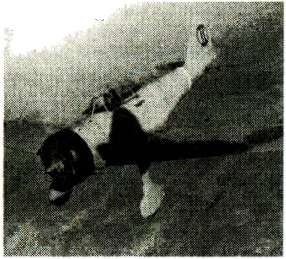 Иллюстрация к книге — Я дрался с самураями. От Халхин-Гола до Порт-Артура [i_035.jpg]