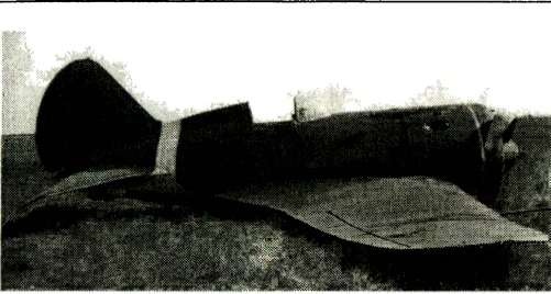 Иллюстрация к книге — Я дрался с самураями. От Халхин-Гола до Порт-Артура [i_042.jpg]