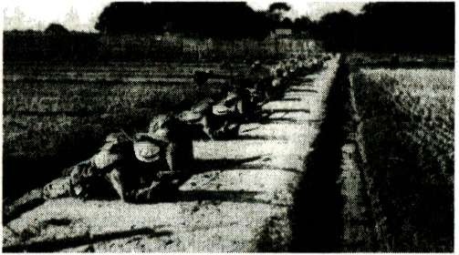 Иллюстрация к книге — Я дрался с самураями. От Халхин-Гола до Порт-Артура [i_152.jpg]