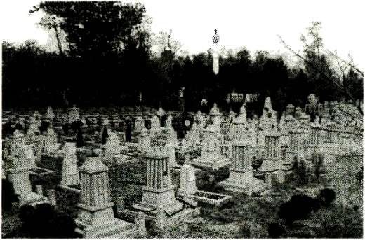 Иллюстрация к книге — Я дрался с самураями. От Халхин-Гола до Порт-Артура [i_154.jpg]