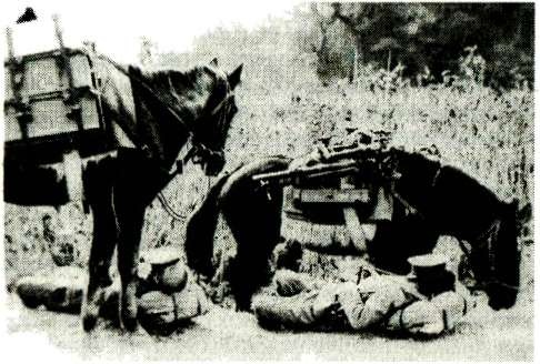 Иллюстрация к книге — Я дрался с самураями. От Халхин-Гола до Порт-Артура [i_155.jpg]