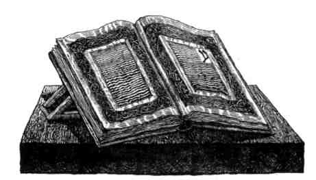 Иллюстрация к книге — Произведение в алом [img_11.jpg]